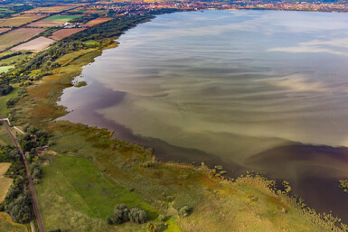 Miért algásodik a Balaton?