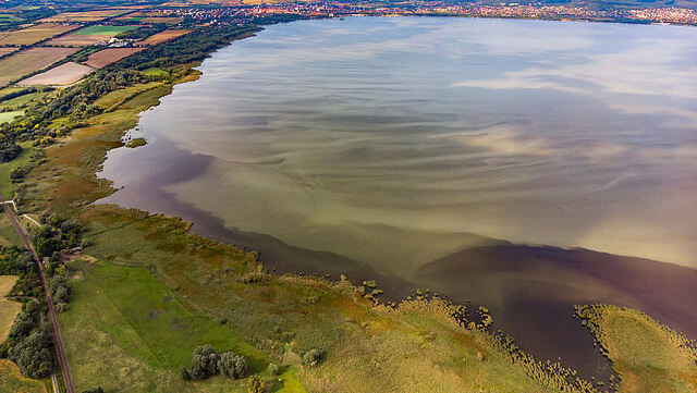 Miért algásodik a Balaton?