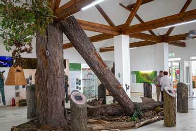 Mátra új látványossága