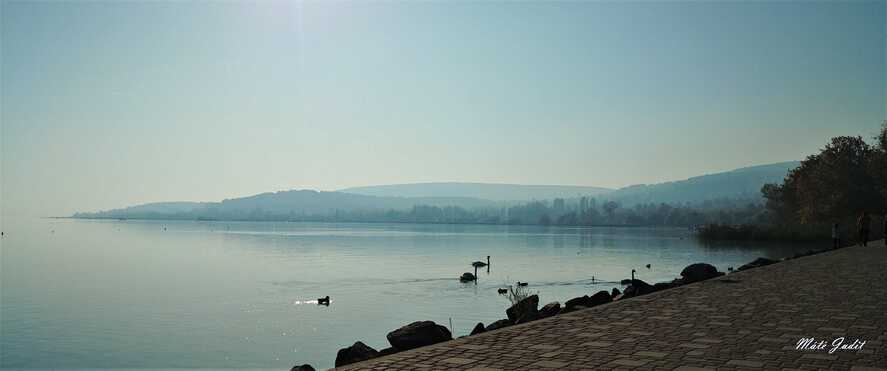 Balaton vize idén