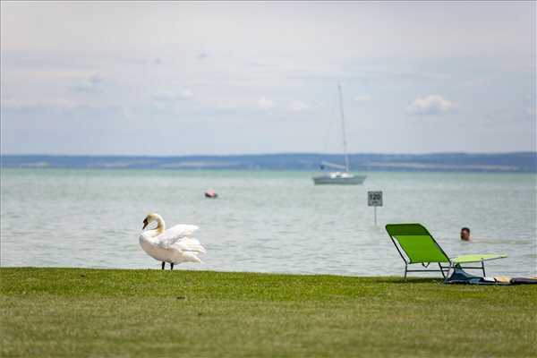 A Balaton jege