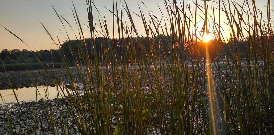 Tisza tó: mostantól kerékpárral is
