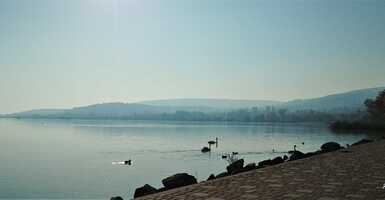 Balaton vize idén