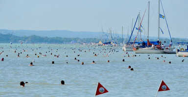 Balaton átúszása