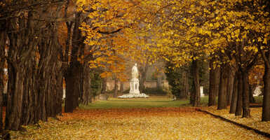 Fiumei úti újítás