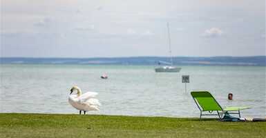 A Balaton jege