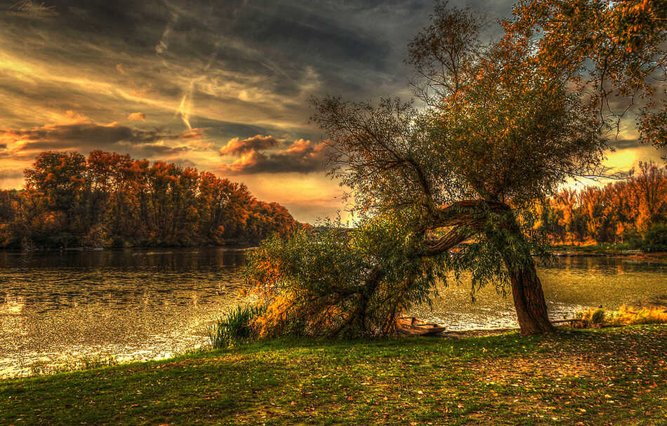 A magyar ősz